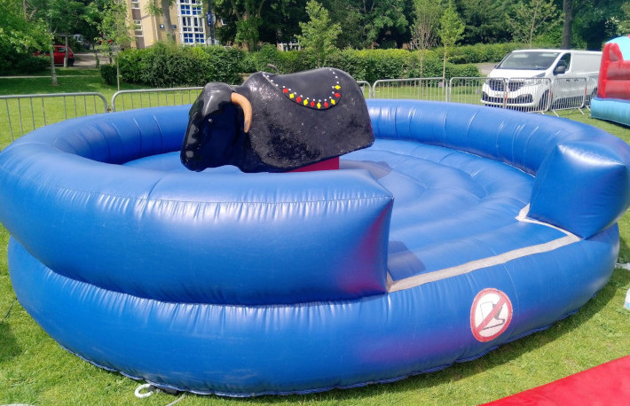 Rodeo Bull Hire